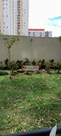 Imagem Apartamento em Vila Arriete - São Paulo