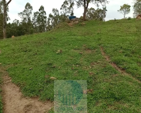 Imagem Sítio 20 ha ou 8,26 alq. a venda, para café, gado Jacui Sul de Minas Gerais