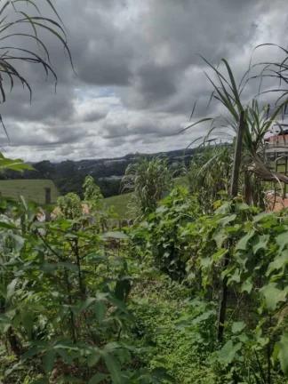 Imagem Terreno à venda, 1000 m² por R$ 800.000,00 - Jardim Zaira - Mauá/SP