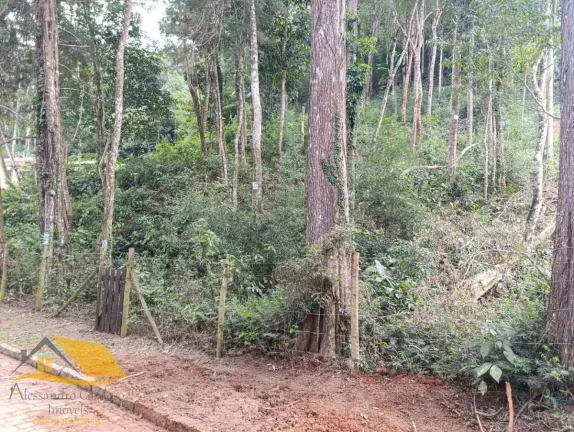 Imagem Vendo Terreno na Fazendo Bela Vista com 800 mts²