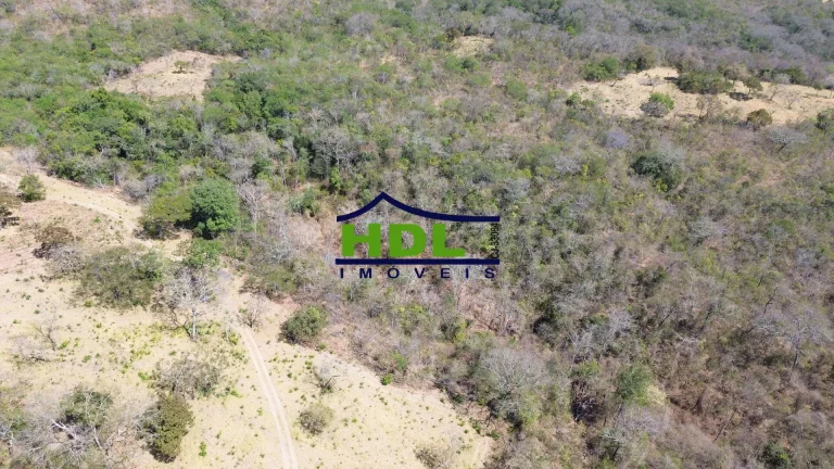 Imagem Fazenda 19 Alqs para Cria em Hidrolândia/GO