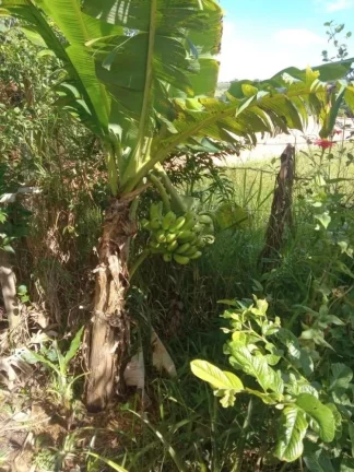 Imagem Chácara a venda no bairro Jardim Gramado - Tatuí/SP