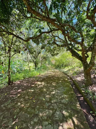 Imagem Sítio à Venda em Atibaia – 800m da Fernão Dias, 70 km de São Paulo
