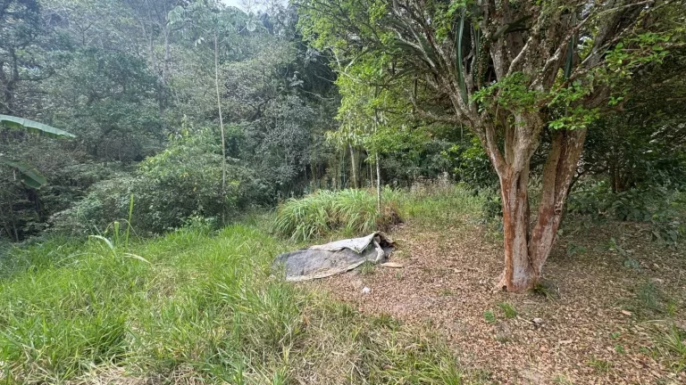 Imagem Chacara com 3 mil metros - Canindu