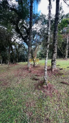 Imagem Chácara - Sítio com 3 Dormitorio(s) localizado(a) no bairro Vila Mina em Canela / RIO GRANDE DO SUL Ref.:1562