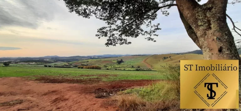 Imagem Belíssimo Sítio 24 Alqueires Atibaia-SP - Ótimo para Investimento