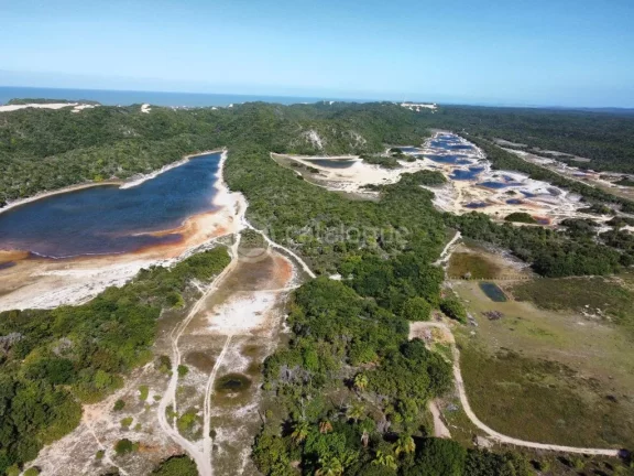 Imagem Terreno Perto da lagoa de Alcaçuz 4 h