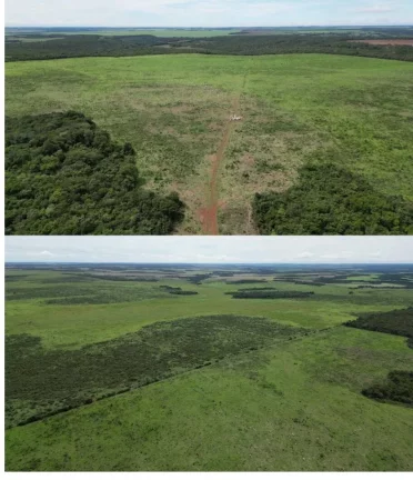 FAZENDA PRODUTIVA A VENDA MATO GROSSO.