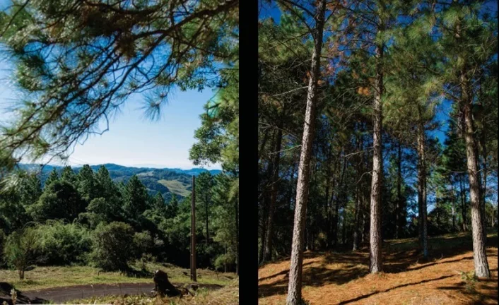 Imagem Terreno para Venda em Rancho Queimado / SC no bairro Villa do Prado