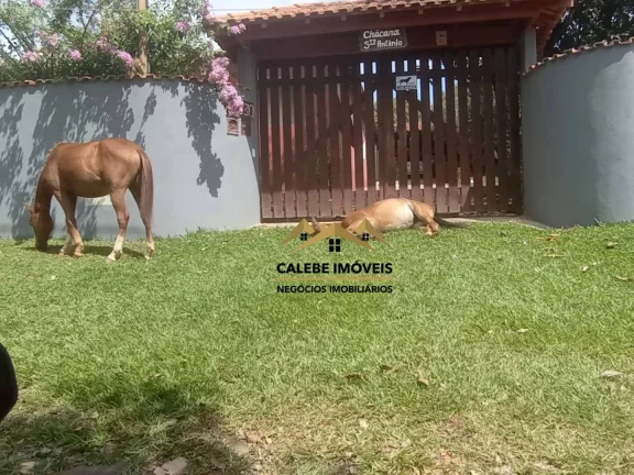 Imagem Chácara com 3 dormitórios, 2000 m² - venda por R$ 590.000,00 ou aluguel por R$ 5.000,00/mês - Jardim Gramado - Tatuí/SP