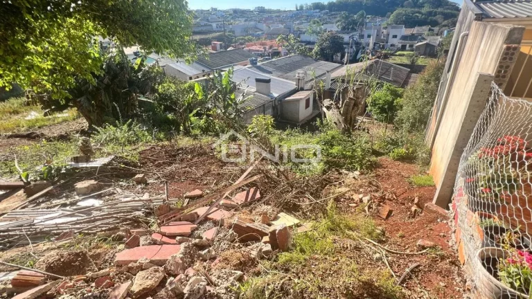 Imagem Terreno São Cristovão