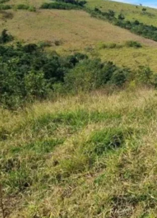Imagem Fazenda à Venda, 8.373.200 m² em Zona Rural - Jacutinga