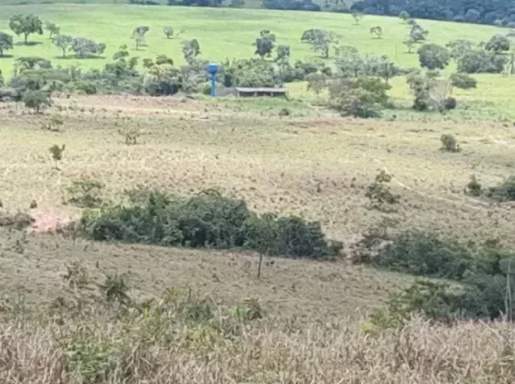 Imagem Fazenda 10 Alqueires à Venda em Luziânia, Goiás!