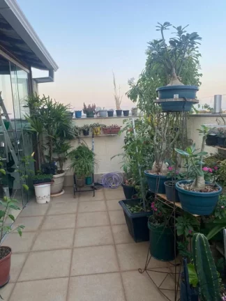 Imagem Cobertura para Venda em Belo Horizonte / MG no bairro Santa Terezinha