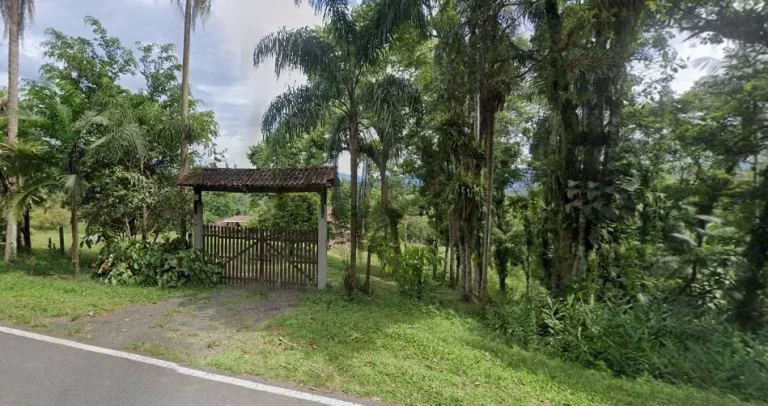 Chácara na Serra da Graciosa em frente ao Asfalto - Antonina - R$900mil