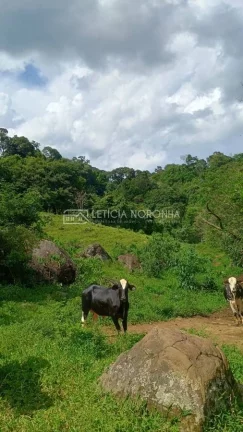 Imagem Terreno à Venda