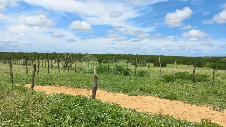 Imagem Fazenda à venda em Jandaíra - 300 hectares com alto potencial produtivo