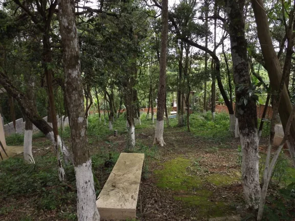 Imagem CHÁCARA NOVA! CHÁCARAS CANANEIA
