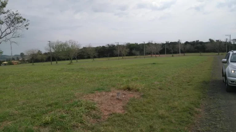 Imagem VENDA, TERRENO COND. RESIDENCIAL PALMAS DEL REY, 4.475,40 m²