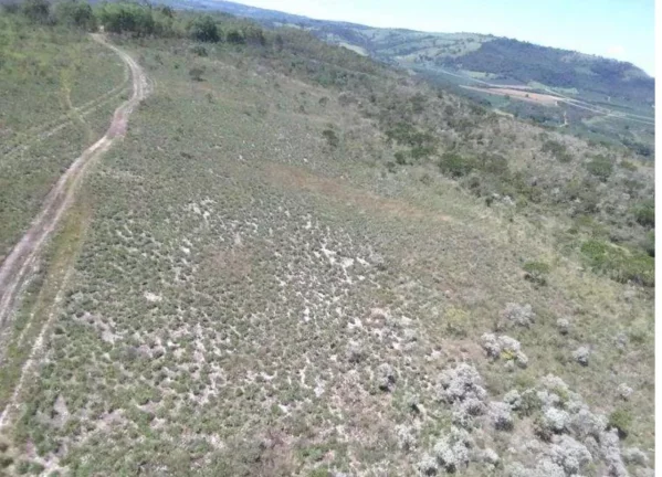 Imagem OPORTUNIDADE! FAZENDA A VENDA EM PEIXOTO (LAJE-IBIRACI)