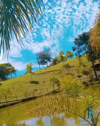 Imagem Chácara poucos metros da BR 116, 04 tanques de peixes, 03 casas, nascentes, Areia Branca dos Assis - Mandirituba PR