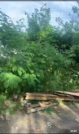 Imagem VENDO TERRENO DE 7 MILM2 NO CONDOMÍNIO BARRA SUL BARRA DA TIJUCA