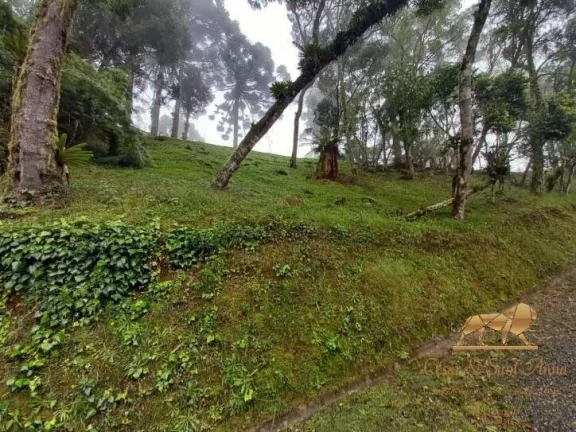 Imagem Terreno à venda em Campos do Jordão de R$690mil por R$550mil.