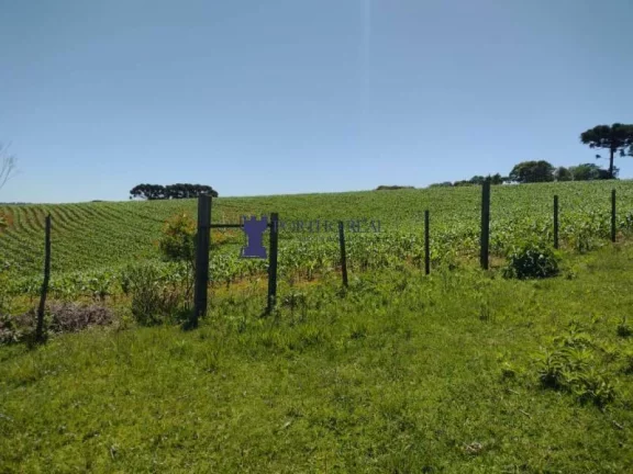 Imagem CHÁCARA COM 143.897M² NA REGIÃO LAPA E BALSA NOVA