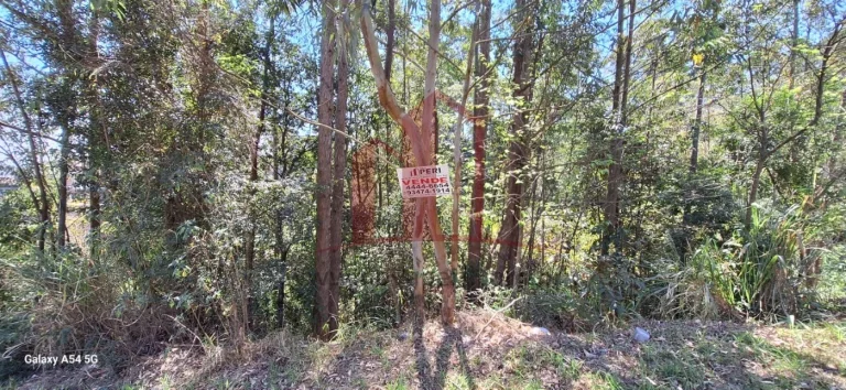 Imagem TERRENO COMERCIAL em CAIEIRAS - SP, REGIÃO CENTRAL