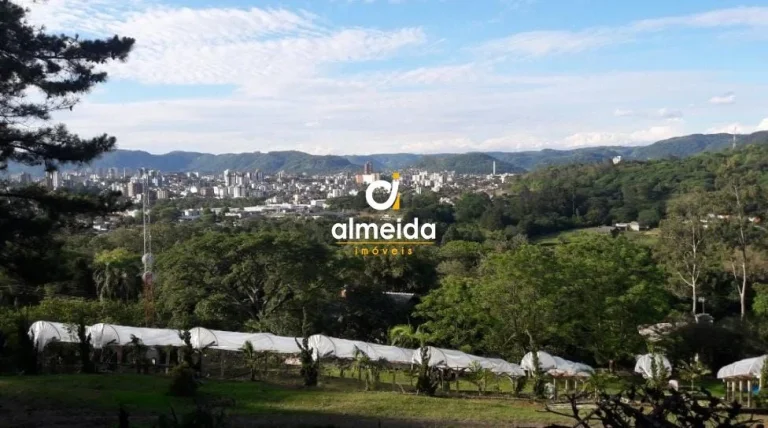 Imagem CHACARA DENTRO DA CIDADE