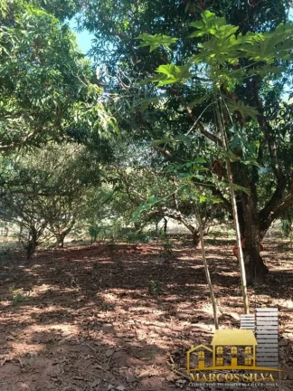 Imagem Chácara com 3 Quartos à Venda, em Portal das Araras - Três Lagoas
