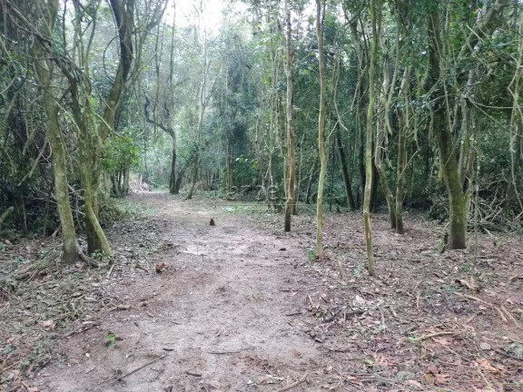 Imagem Descubra um verdadeiro Oasis próximo a Capital Paulista num terreno exclusivo medindo 38.320m². Lo...