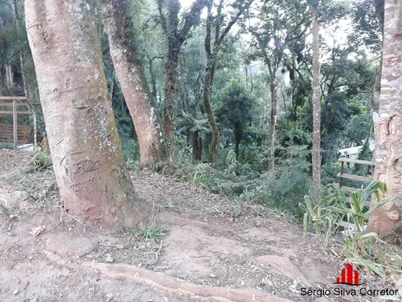 Imagem Terreno a Venda no Bairro Nova Suíça em Campos do Jordão - SP