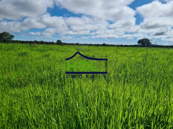 Imagem 110 Alqs Top em Cocalinho MT