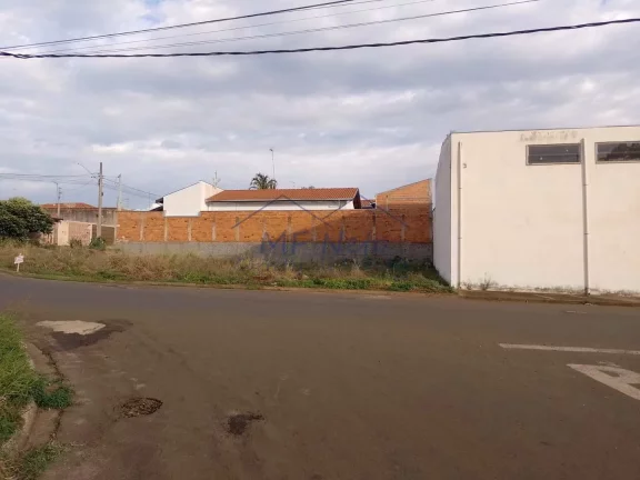Imagem Terreno Padrão