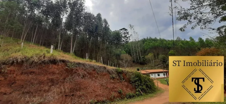 Imagem Sítio 37.000 m² com Lago e Cocheira Fácil Acesso Piracaia