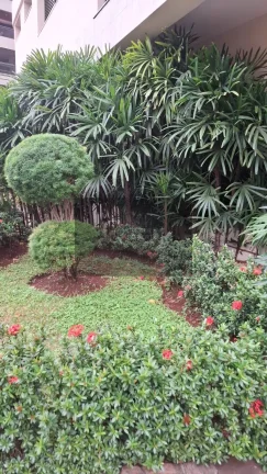 Imagem Apartamento em Centro, Ribeirão Preto/SP