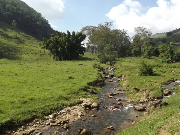 Imagem VENDO FAZENDA FICA A 25 KM DO CENTRO DE ANGRA 116 Hectares, MUITA ÁGUA