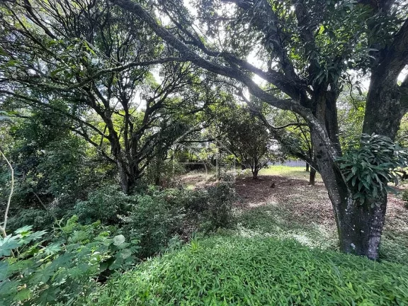 Imagem Área à venda, 10.800,00 m² por R$ 5.500.000 - Chácara Parreiral - Serra/ES
