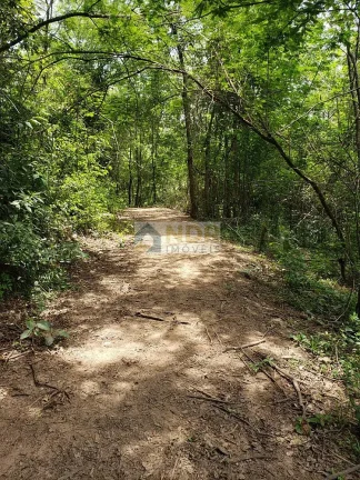 Imagem AREA RURAL EM INHAÚMA