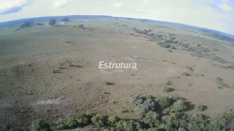 Imagem Área rural de 160 hectares, próxima a cidade de Vila Nova do Sul