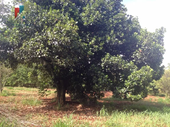 Imagem Sítio à venda no bairro Mirandas - Tatuí/SP