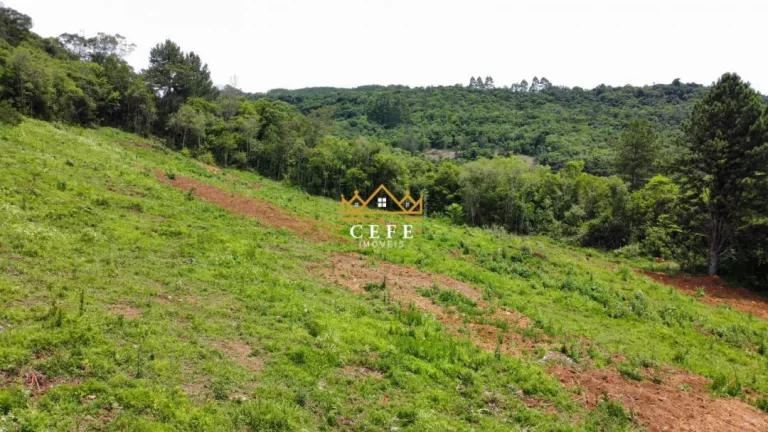 Imagem Chácara - Sítio com 3 Dormitorio(s) localizado(a) no bairro Serra Grande em Igrejinha / RIO GRANDE DO SUL Ref.:1594