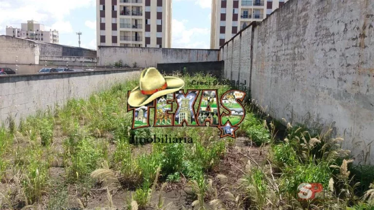 Imagem TERRENO VILA FORMOSA