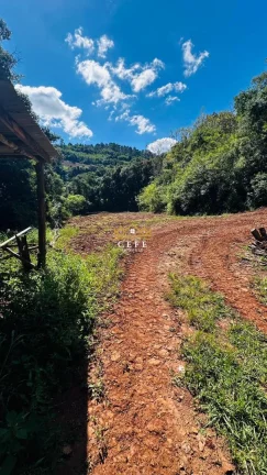 Imagem Chácara - Sítio com 3 Dormitorio(s) localizado(a) no bairro São Jacó em Nova Petrópolis / RIO GRANDE DO SUL Ref.:1559