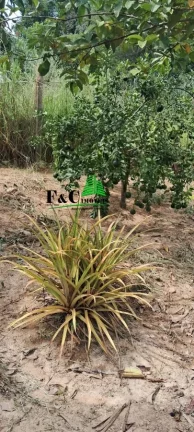 Imagem Chácara Condomínio para Venda em Limeira, Bairro dos Pires, 2 dormitórios, 2 banheiros, 1 vaga