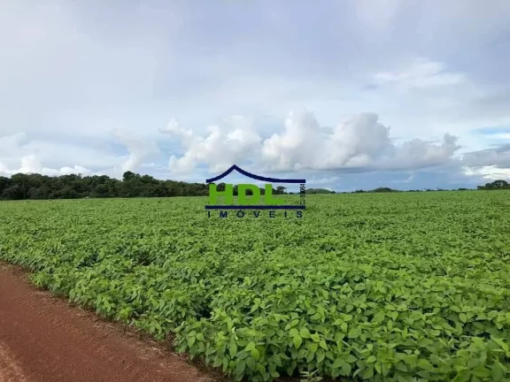 Imagem Fazenda 8.107 Alqs dupla aptidão Confresa MT