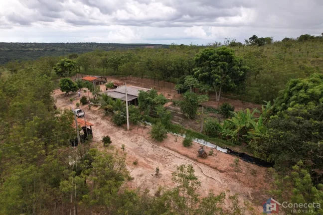 Imagem Fazenda em Centro, Presidente Olegário/MG