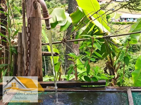 Imagem Vendo área rural com 20 mil mts², boa topografia com nascente.