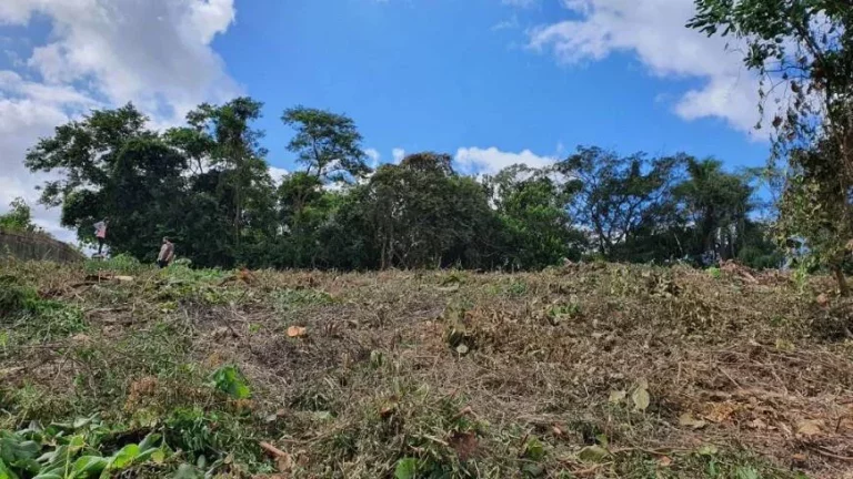 Imagem Terreno à venda, 3.203 m² por R$ 700.000 - GRANJA VIANA – PARQUE PRIMAVERA
